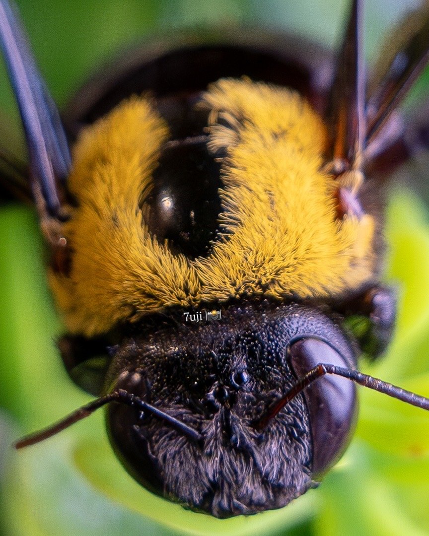 4A8104B9-0E14-4F7B-B23B-20CD197F8FD9