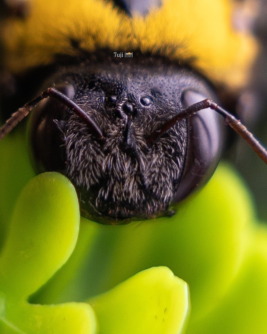 843C6B80-FA8B-45D2-B829-35B29E1C7184