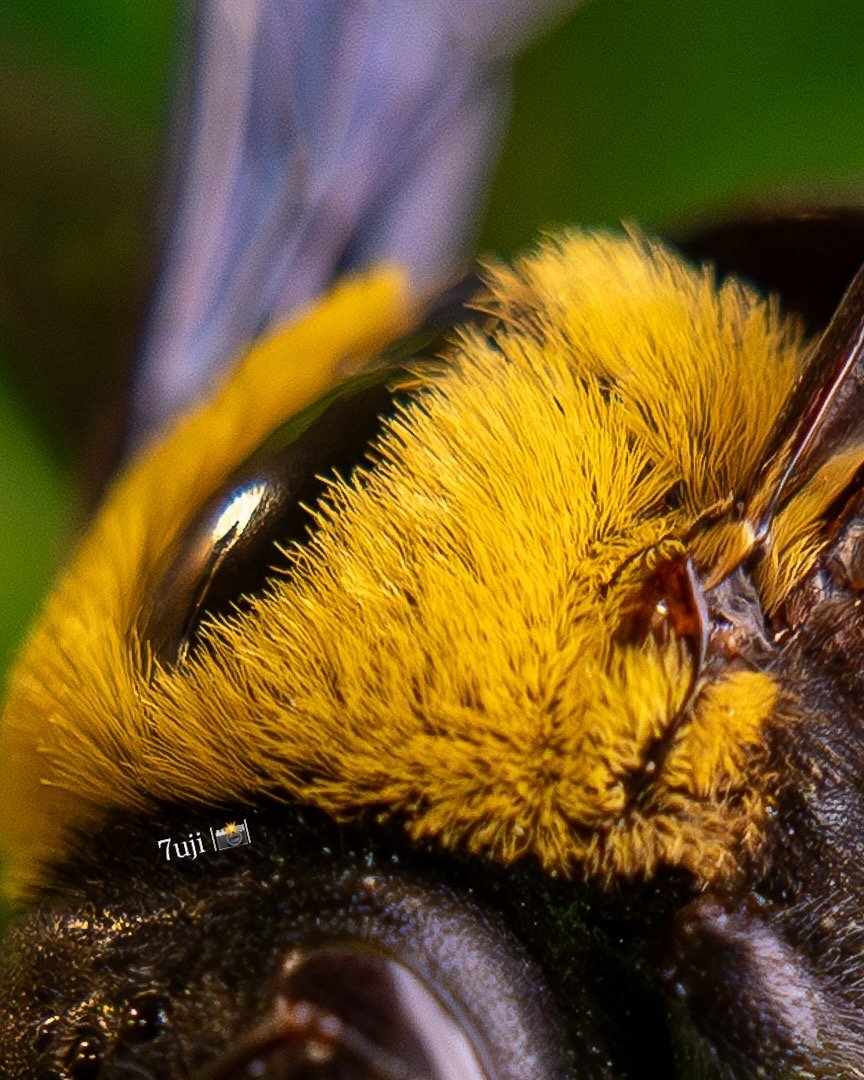 85FB9D71-0F5F-4451-9AED-8A971E884D92