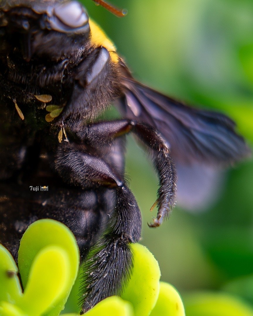 8CCBD75F-641F-49B9-8147-DF9DF6D35C88