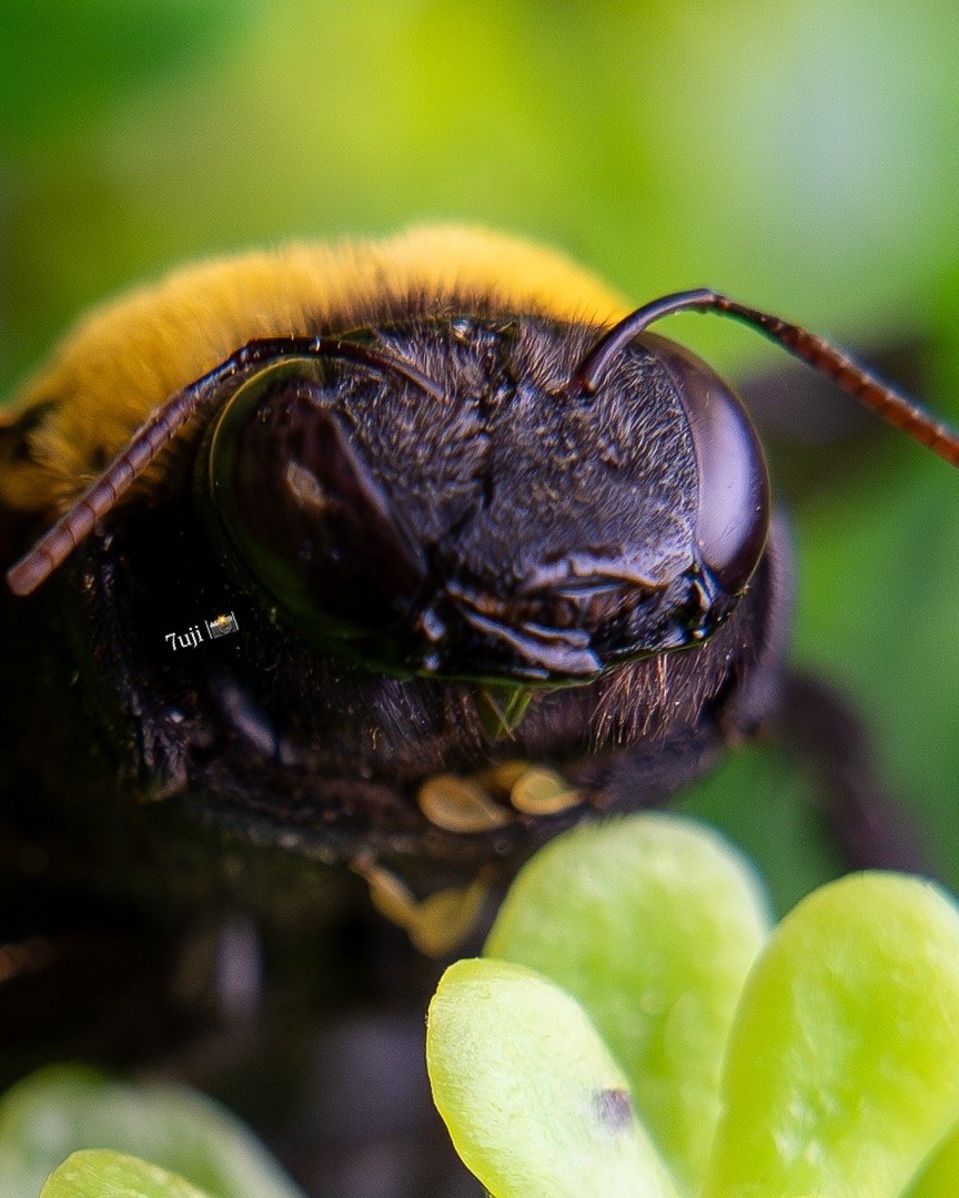 9BAAF40A-FCF8-4BD9-91B8-4CD0C3E77E3E