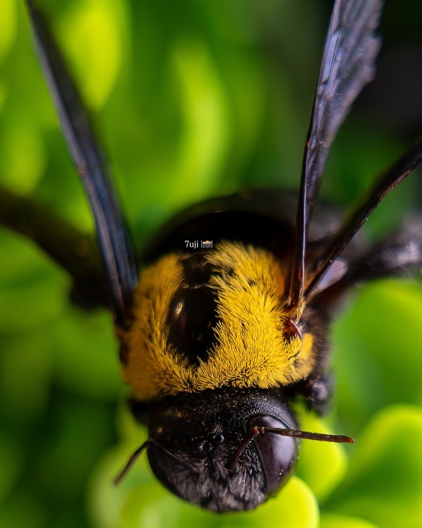 A240D6B8-394C-4542-95CA-4274FDE03E3D