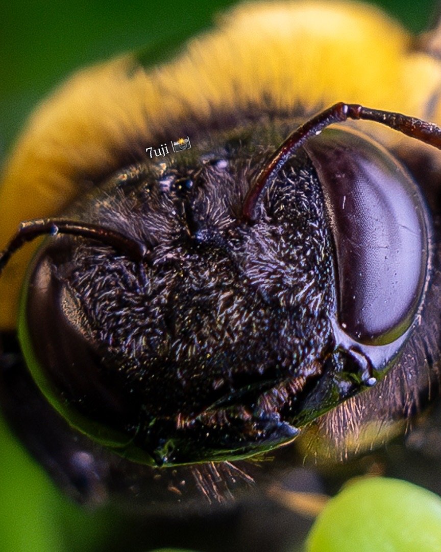 A3E8CFB7-160C-4313-88E4-6806FEF33A21